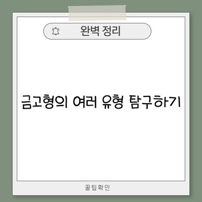 금고형의 여러 유형 탐구하기