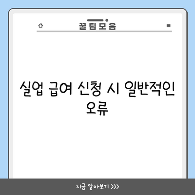 실업 급여 신청 시 일반적인 오류