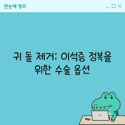 귀 돌 제거: 이석증 정복을 위한 수술 옵션