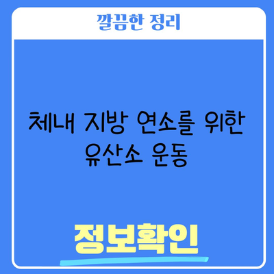 체내 지방 연소를 위한 유산소 운동