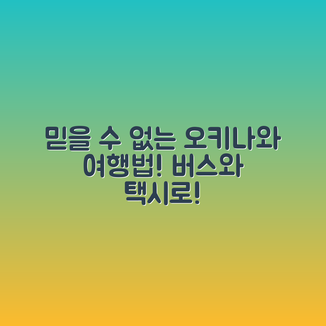 믿을 수 없는 오키나와 버스와 택시 여행법!