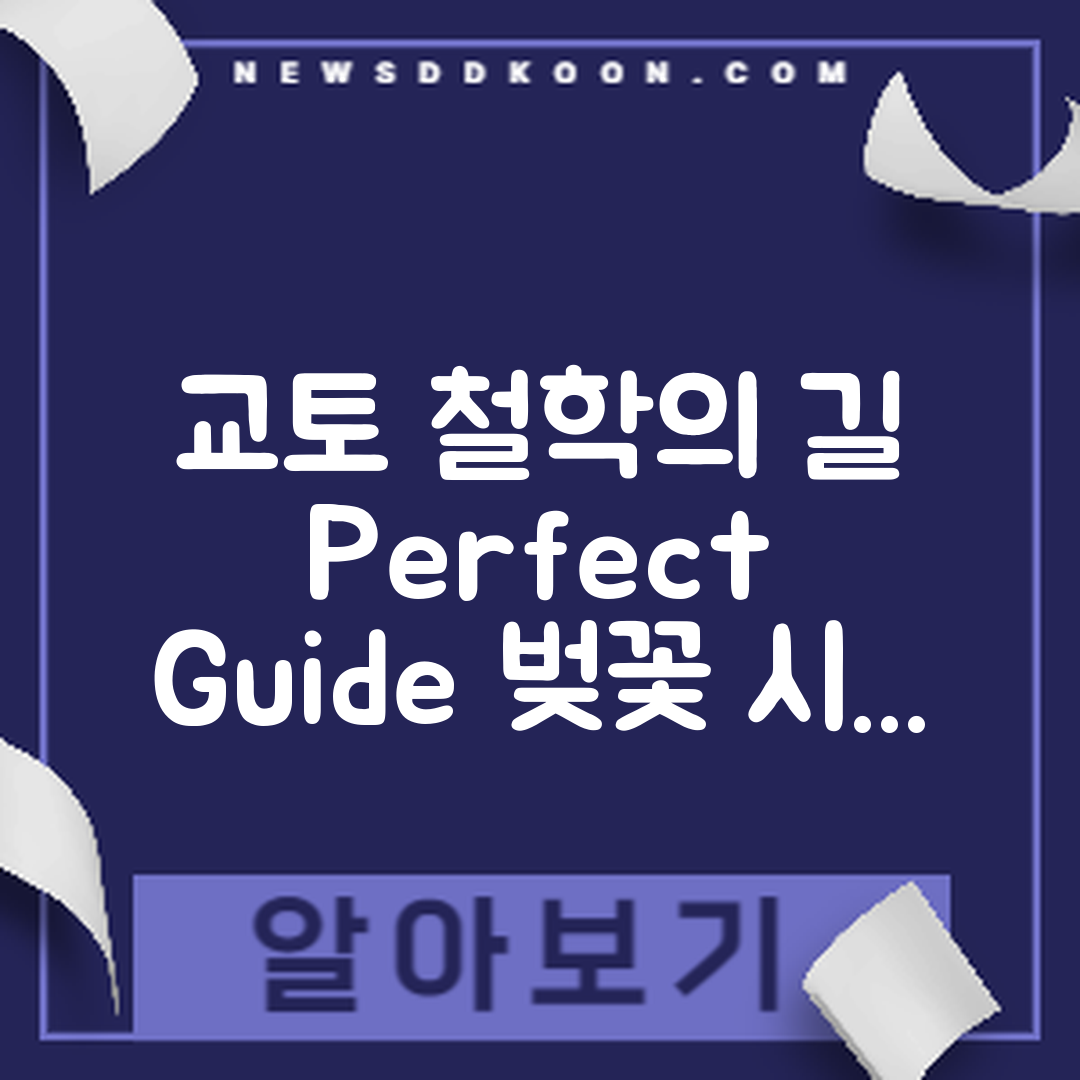 교토 철학의 길 완벽 가이드: 벚꽃 시즌 여행 코스