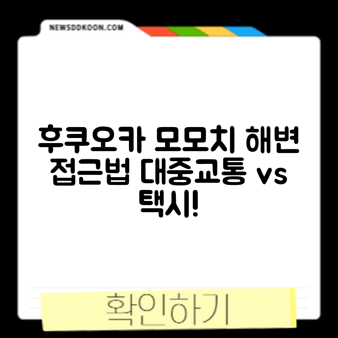 후쿠오카 모모치 해변, 대중교통과 택시 비교로 쉽게 이동하기